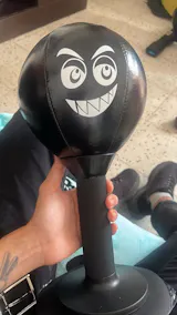PunchPal™