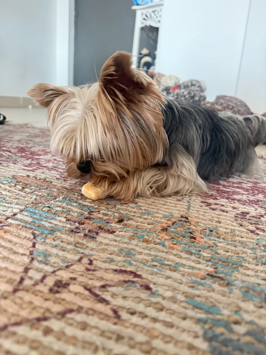 Mini Pop