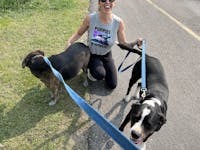 TreadMaster German Shepherd Crop Top | Gift for Dog Lovers