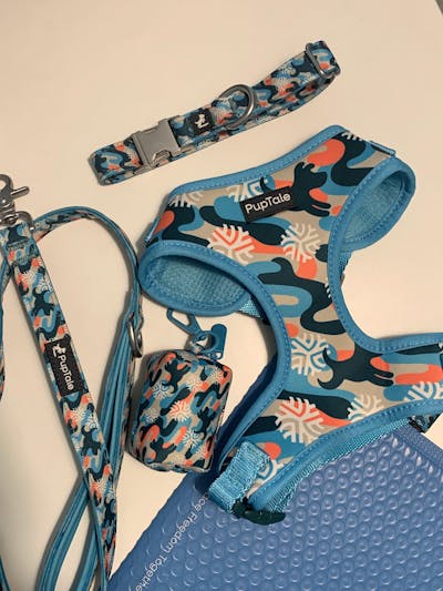 Dog Harness and Leash Set | Winter Snowflake Blue & Orange