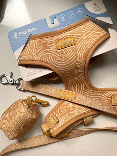 Summer Wave Dog Harness and Leash Set | Gold