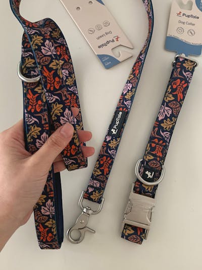 Dog Collar and Leash Set | Fall Leaf Blue & Pink