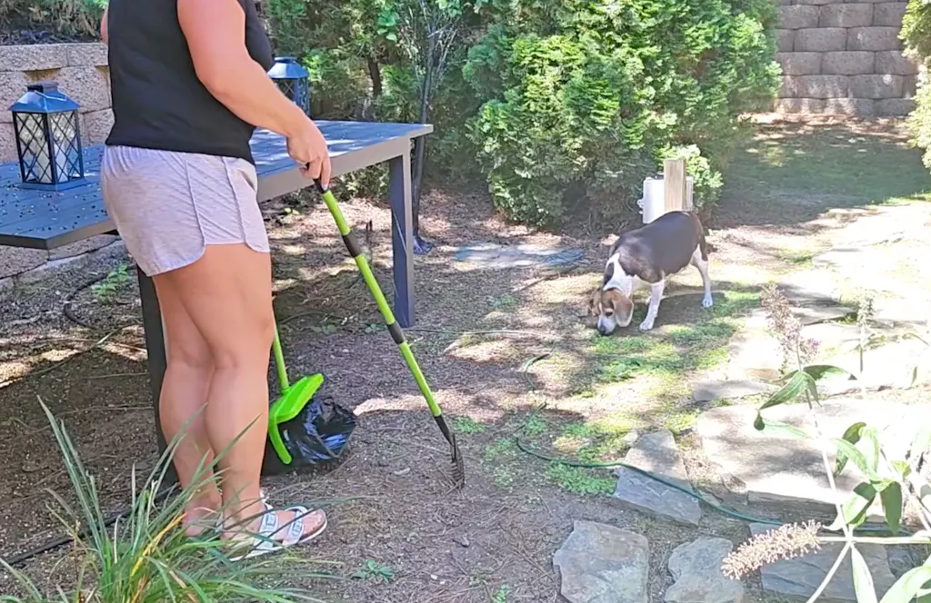 Pupzle Dog Pooper Scooper with Bags, Heavy Duty Metal Poop Scooper