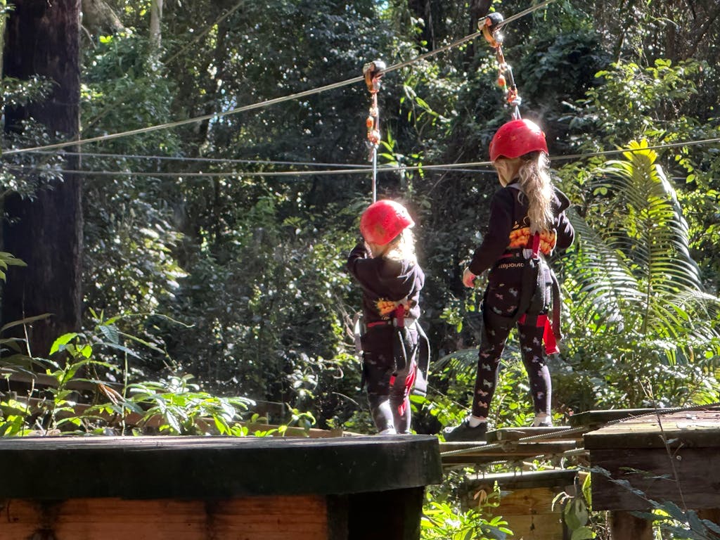 DTF Heat Transfer Gang Sheet Online Builder