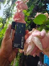 Migraine Ease Headache Roll On