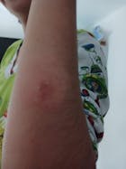 Refill Mousse Corporal Cacao y Aloe Vera