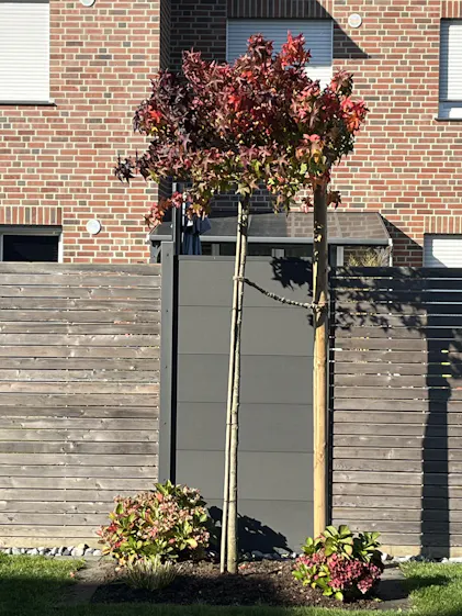 Purgrn Bio-Amberbaum-Dnger 1 kg
