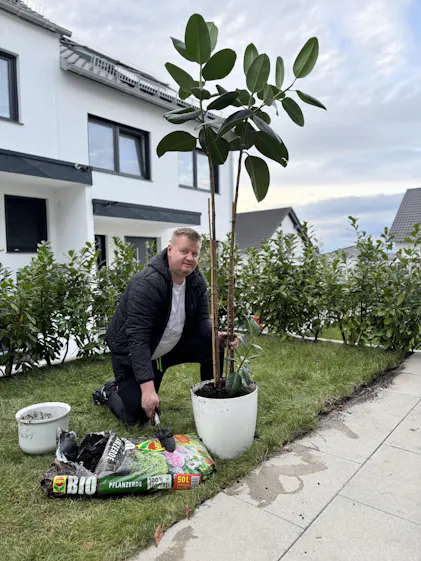 Purgrn Gummibaum-Dnger 1 Liter
