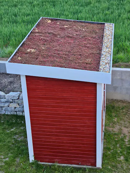 Purgrn Sedum-Dnger 1 kg