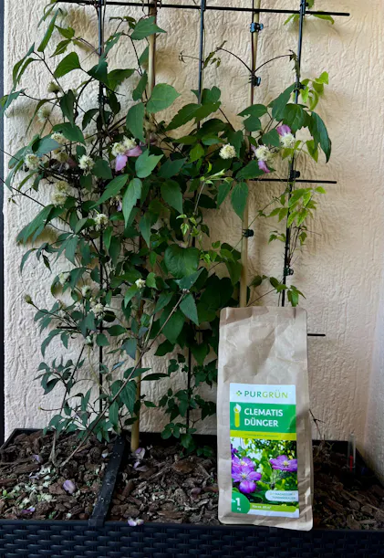 Purgrn Clematis-Dnger 1 kg