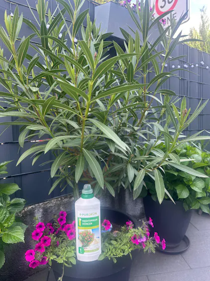 Purgrn Mediterran-Dnger 1 Liter