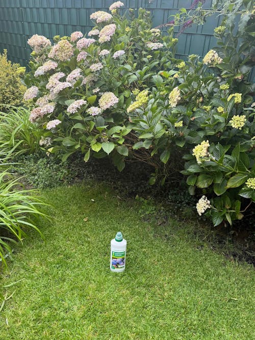 Hortensiendünger 1 Liter