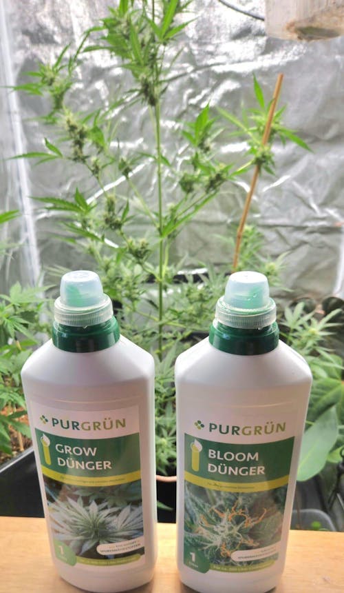 Cannabis-Dünger-Set 2 x 1 Liter