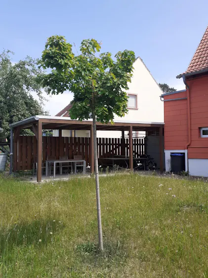 Purgrn Kugelahorn-Dnger 1 kg