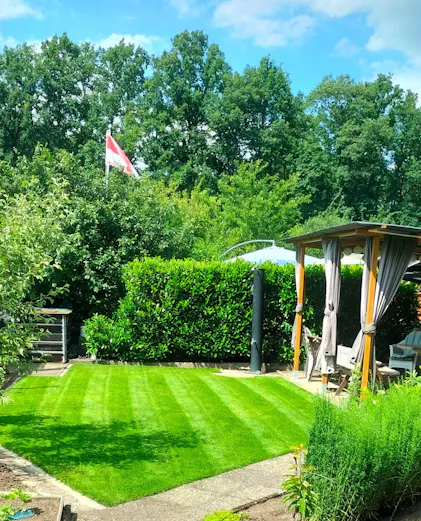 rasen kalken düngen Pokon Bio Rasendünger mit Kalk main image 1