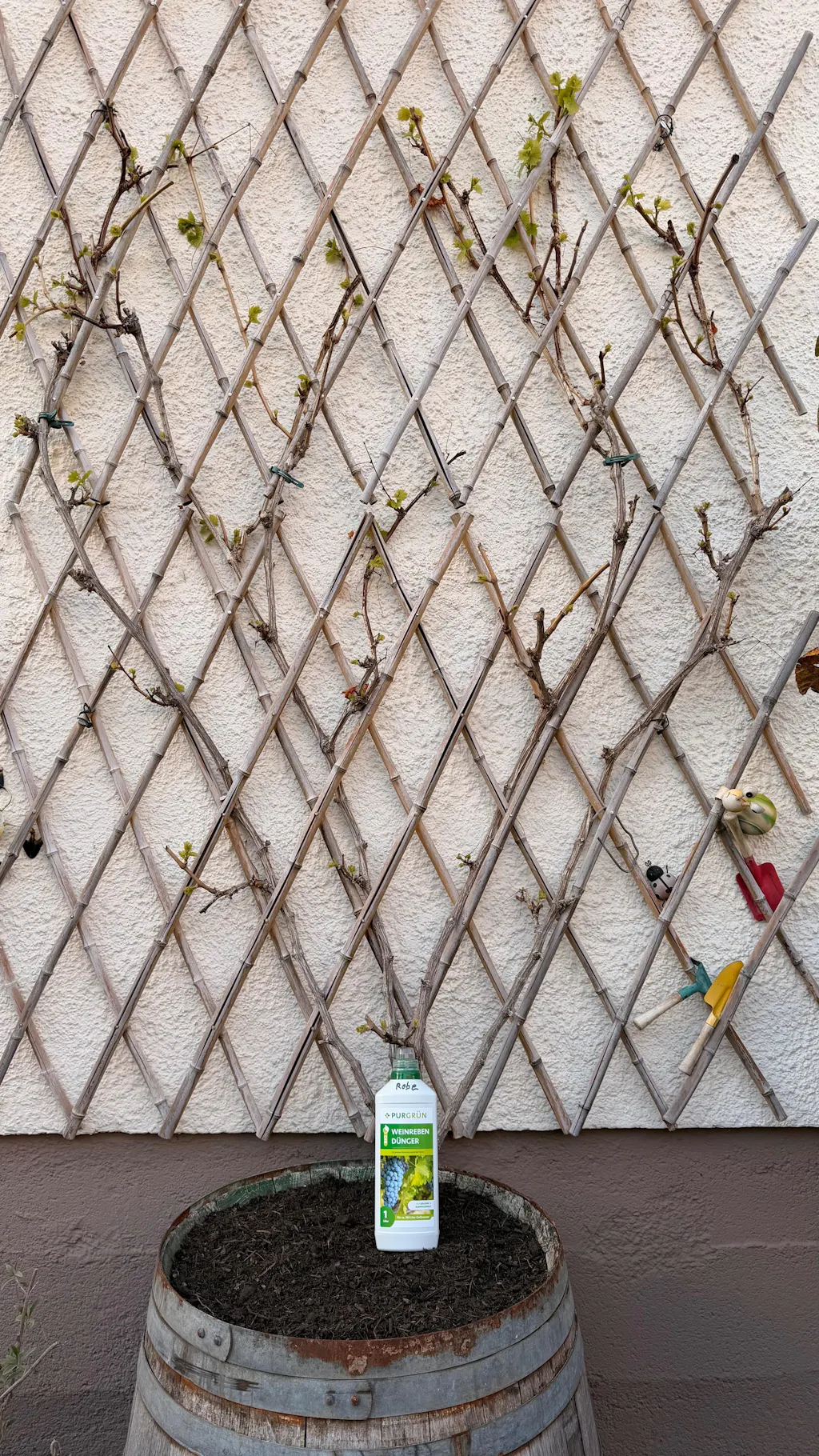 Bio-Weinreben-Dünger 1 Liter