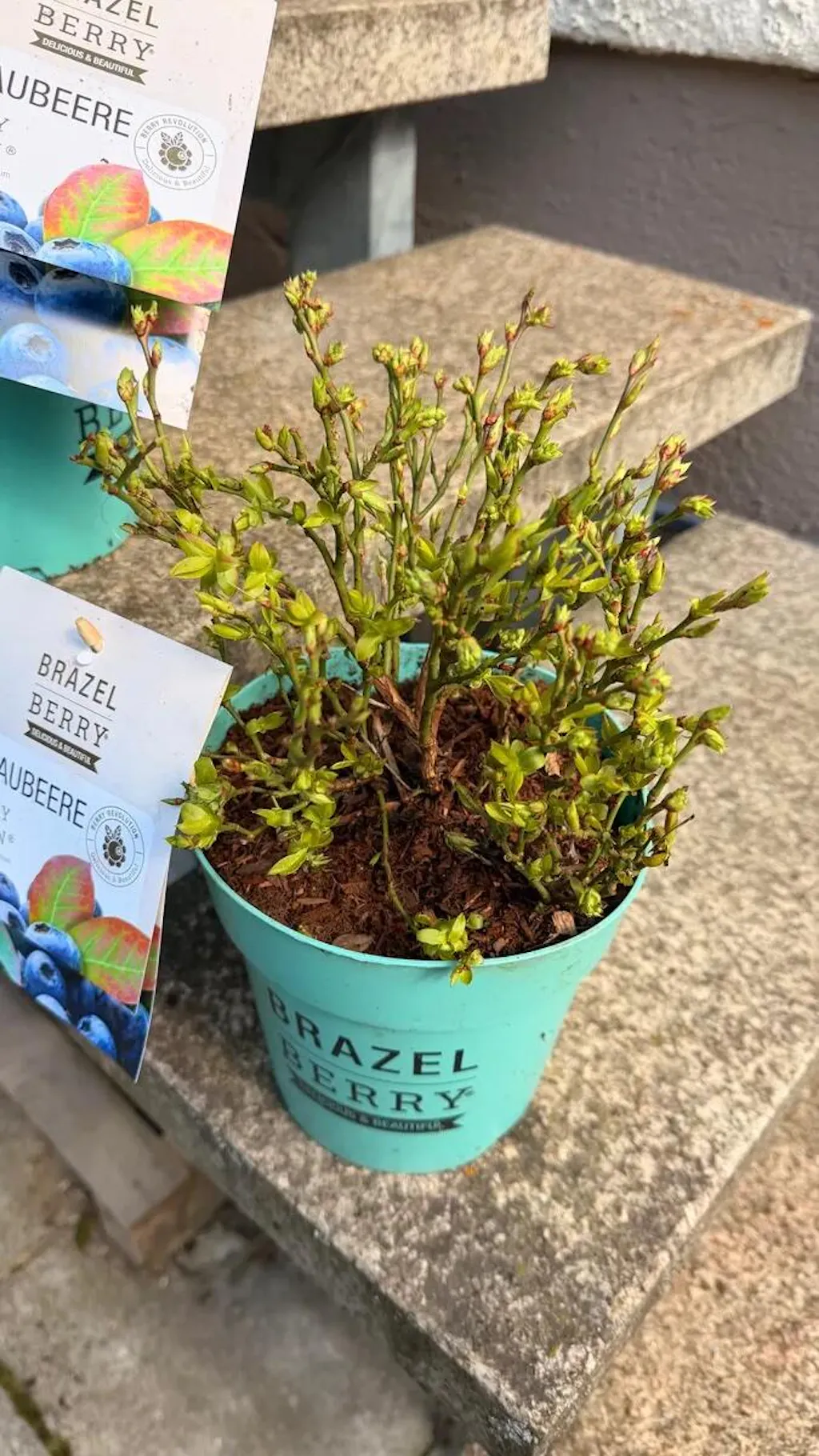 Bio-Beerendünger 1 kg