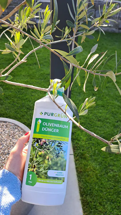 Purgrn Olivenbaum-Dnger 1 Liter