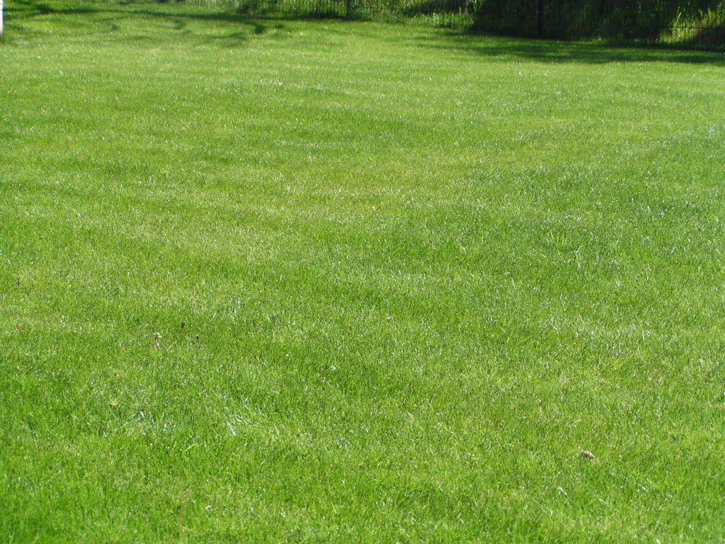 Rasendünger mit Unkrautvernichter 5 kg
