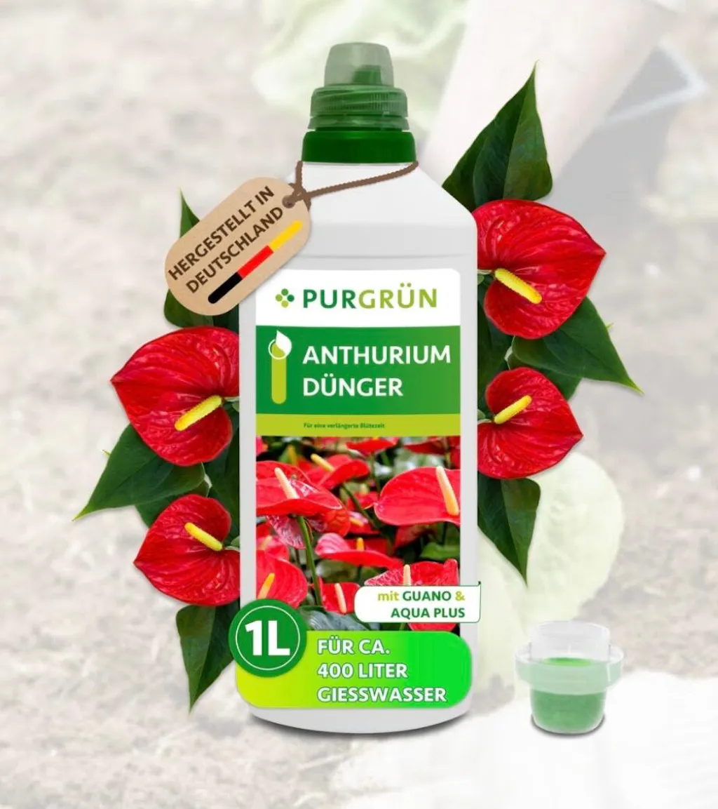 Anthurium-Dünger 1 Liter