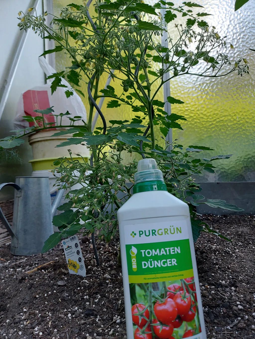 Bio-Tomatendünger 1 Liter