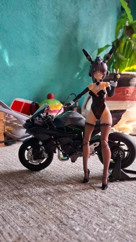 Customer photo for Ninja H2R Die-Cast Motorcycle — 1:12 Scale Model
