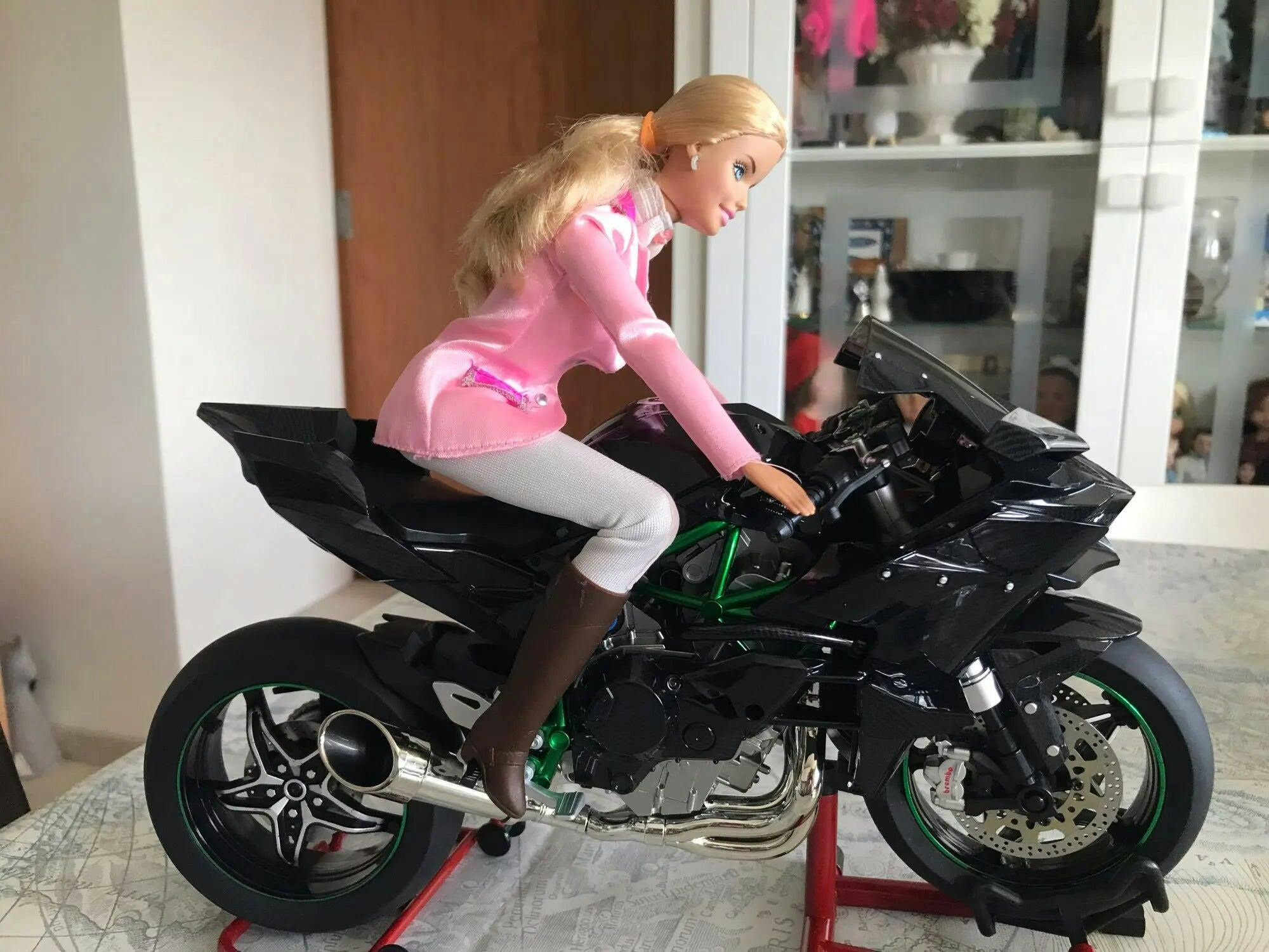 Customer photo for Premium Ninja H2R RC Superbike 1:6 Scale with Realistic Sound & Smoke Effects