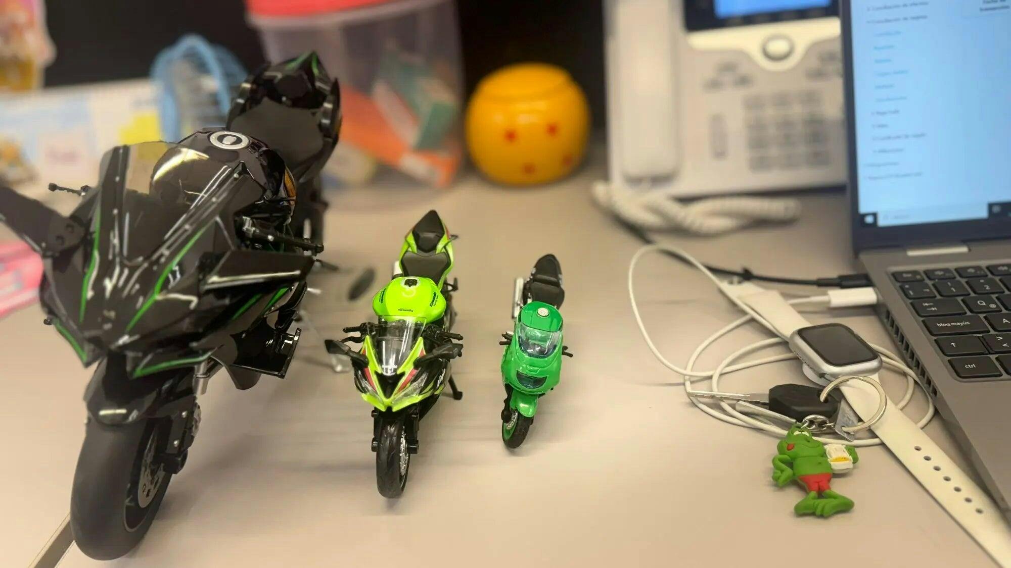 Customer photo for Premium Ninja H2R RC Superbike 1:6 Scale with Realistic Sound & Smoke Effects