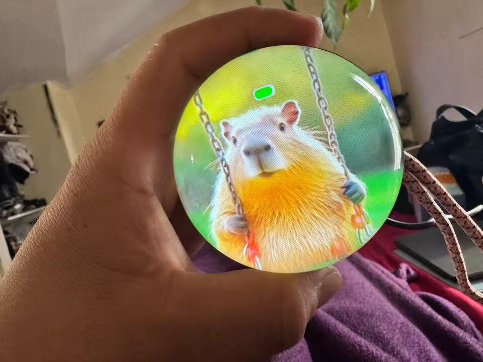 Customer photo for Memory Crystal Ball — 3D Video Photo Orb, 4GB LED