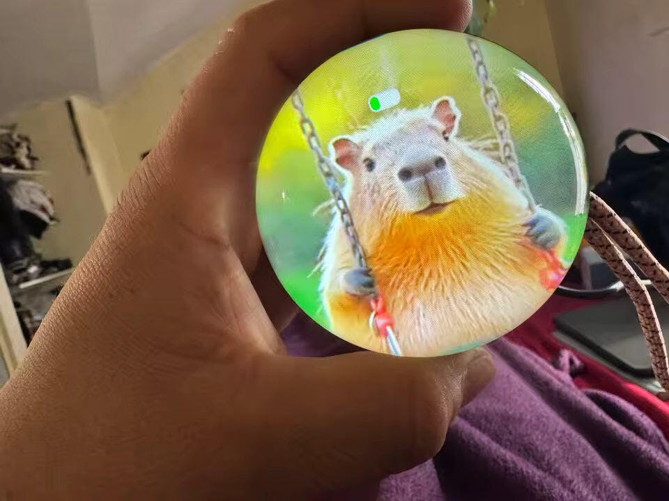 Customer photo for Memory Crystal Ball — 3D Video Photo Orb, 4GB LED