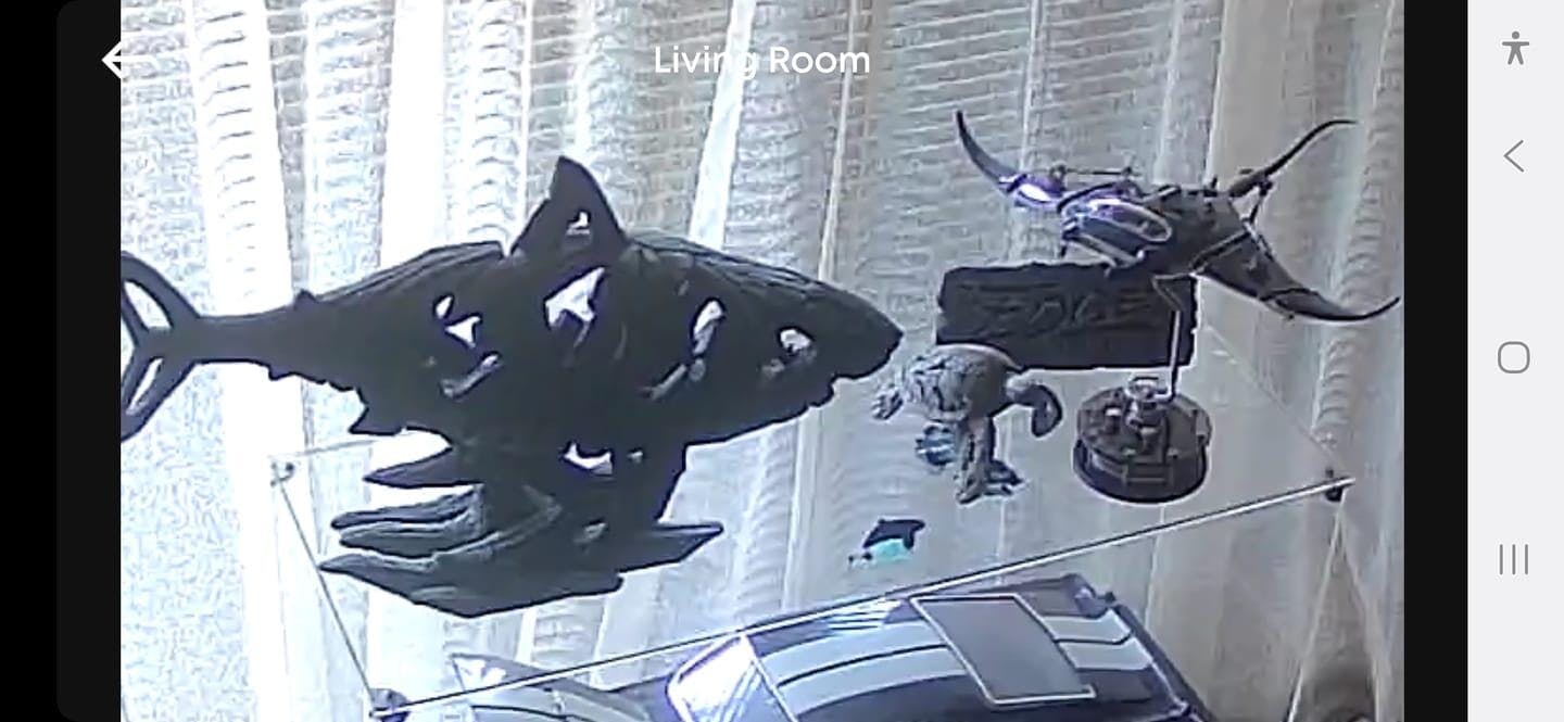 Customer photo for Marine Mechanical Manta Ray Creator Pro