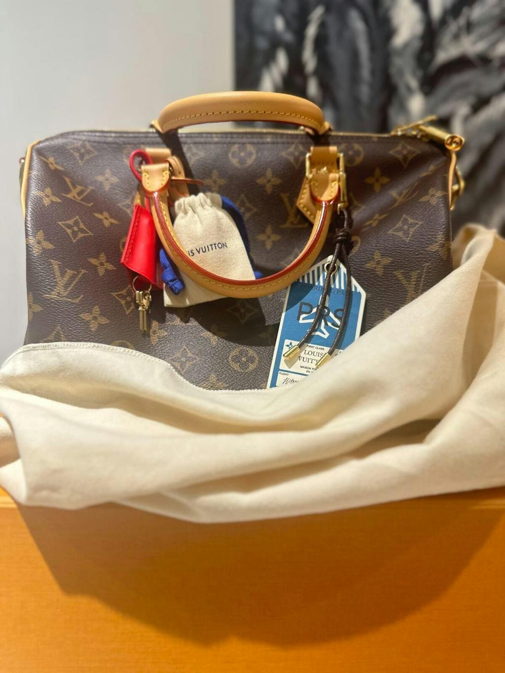 Speedy Soft 30 Crafty Bag