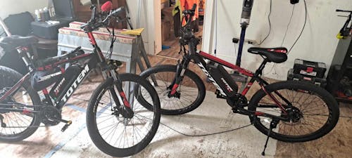 Qnut Victor Electric Mountain Bike
