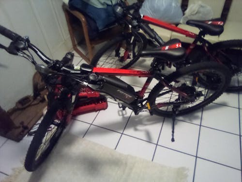 Qnut Victor Electric Mountain Bike