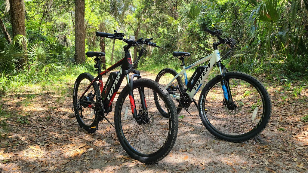 Totem Victor Electric Mountain Bike