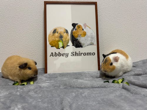 似顔絵ポスターフレーム