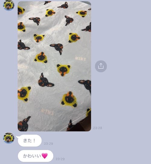 似顔絵ブランケット