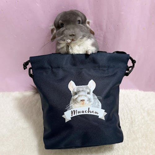 似顔絵おさんぽバッグ