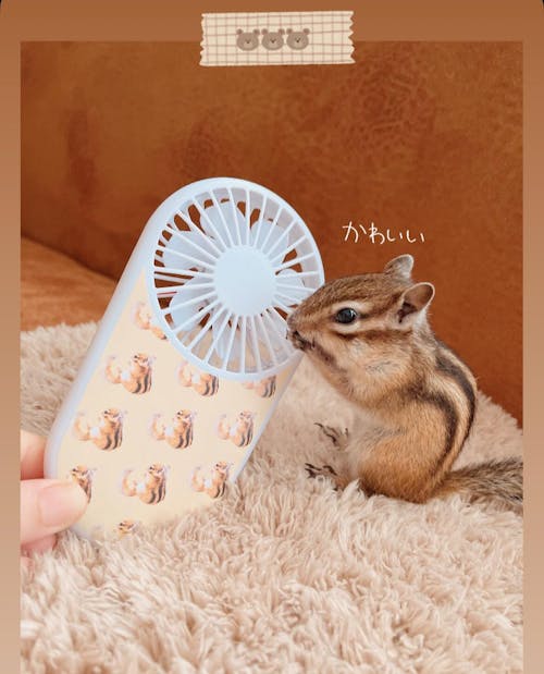似顔絵ハンディファン