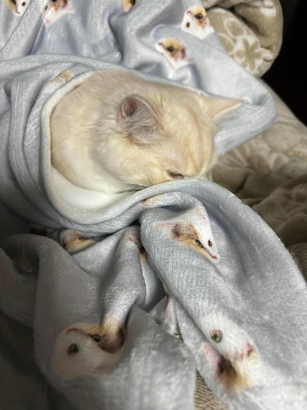 似顔絵ブランケット