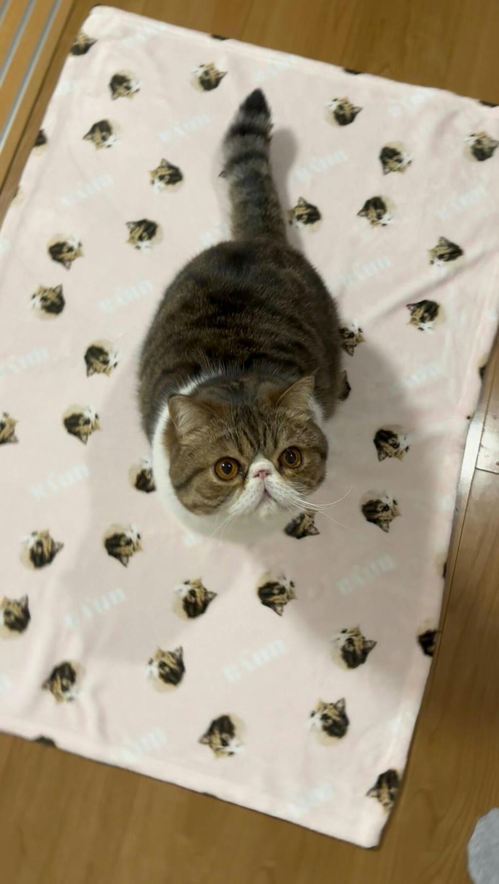 似顔絵ブランケット