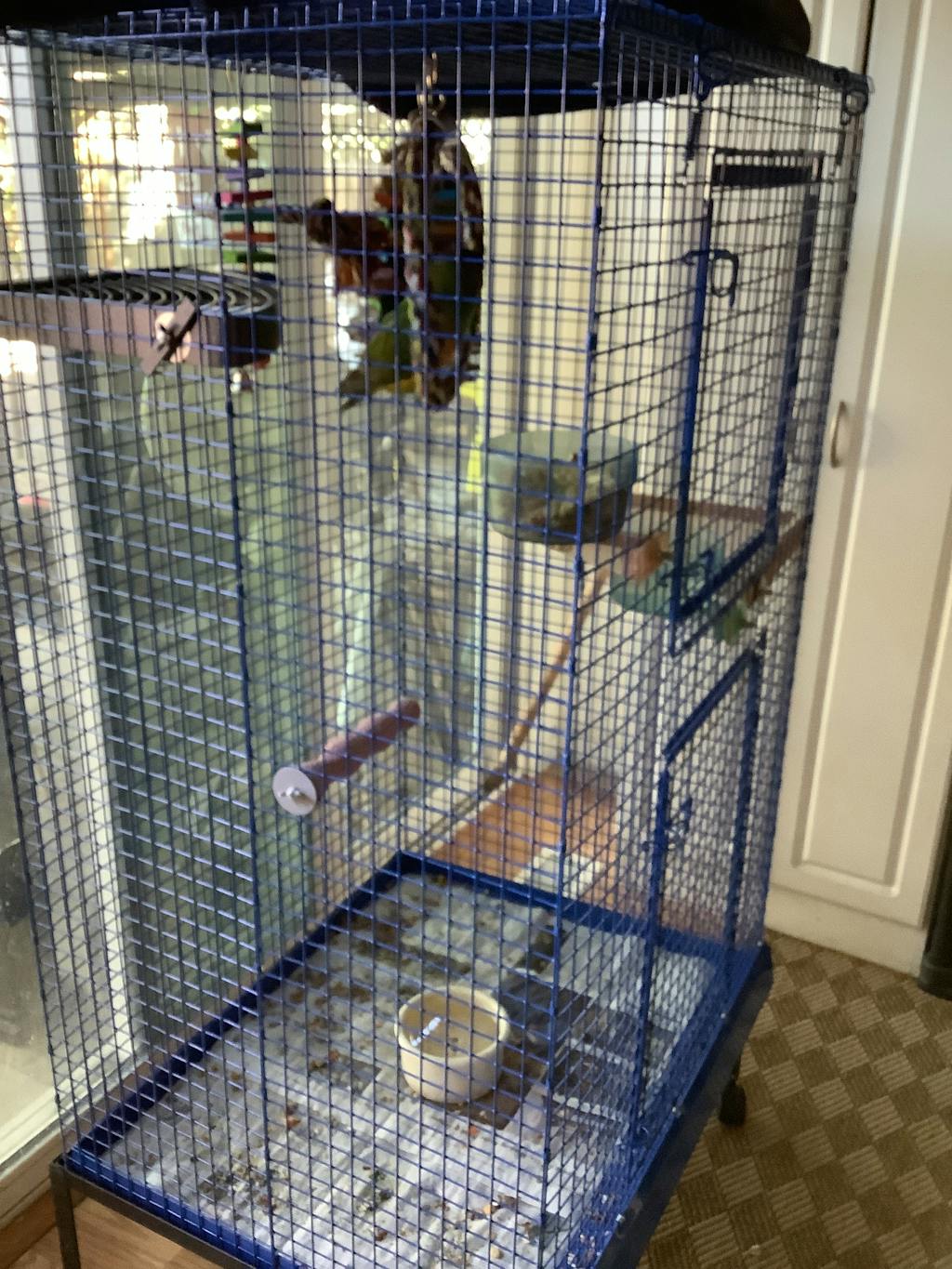 Chinchilla Mansion 48" Tall FREE SHIPPING Chinchilla Cage