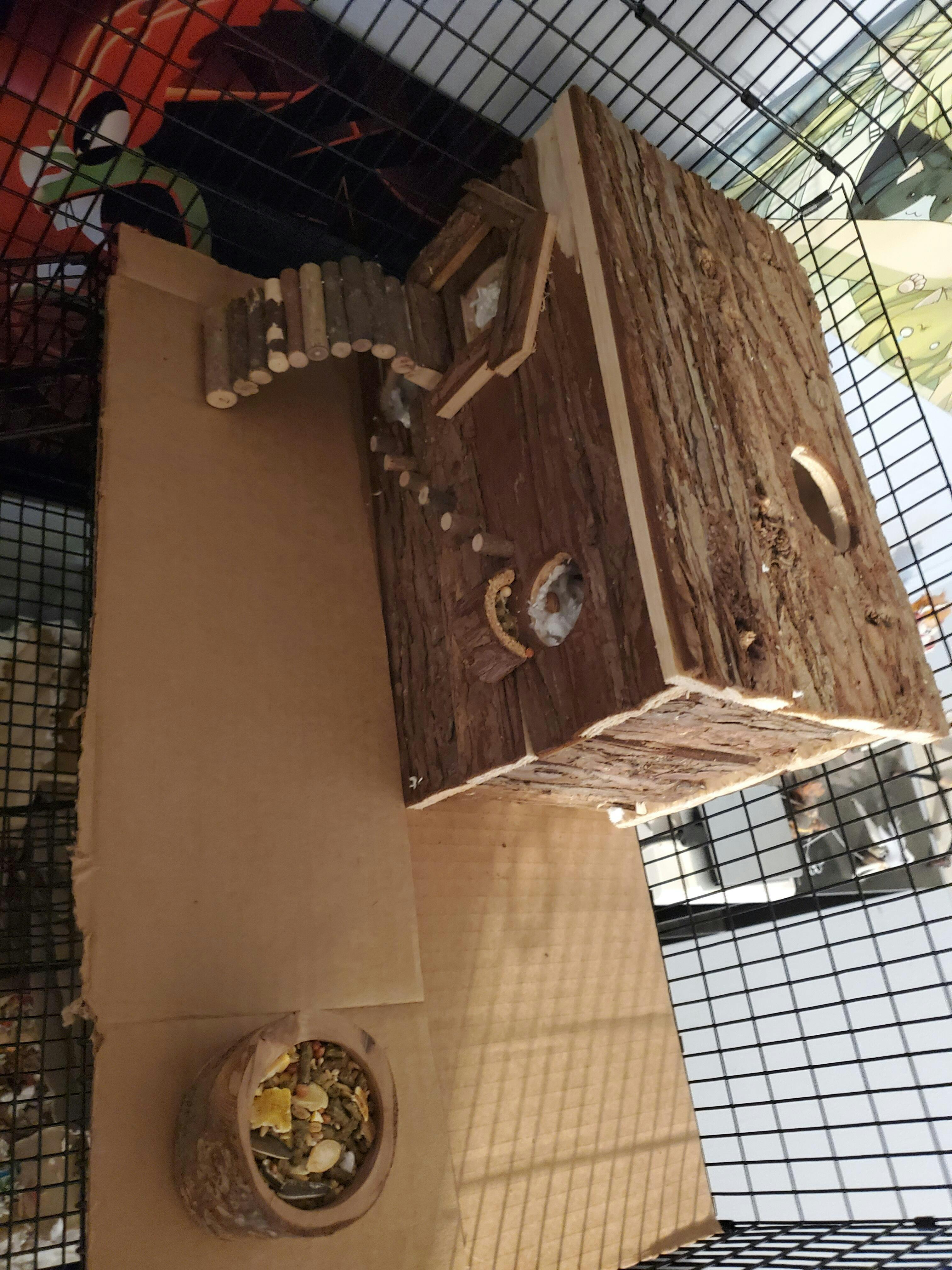 Tank Topper Aquarium Hamster cage for hamsters, Rat, Mice & Gerbils