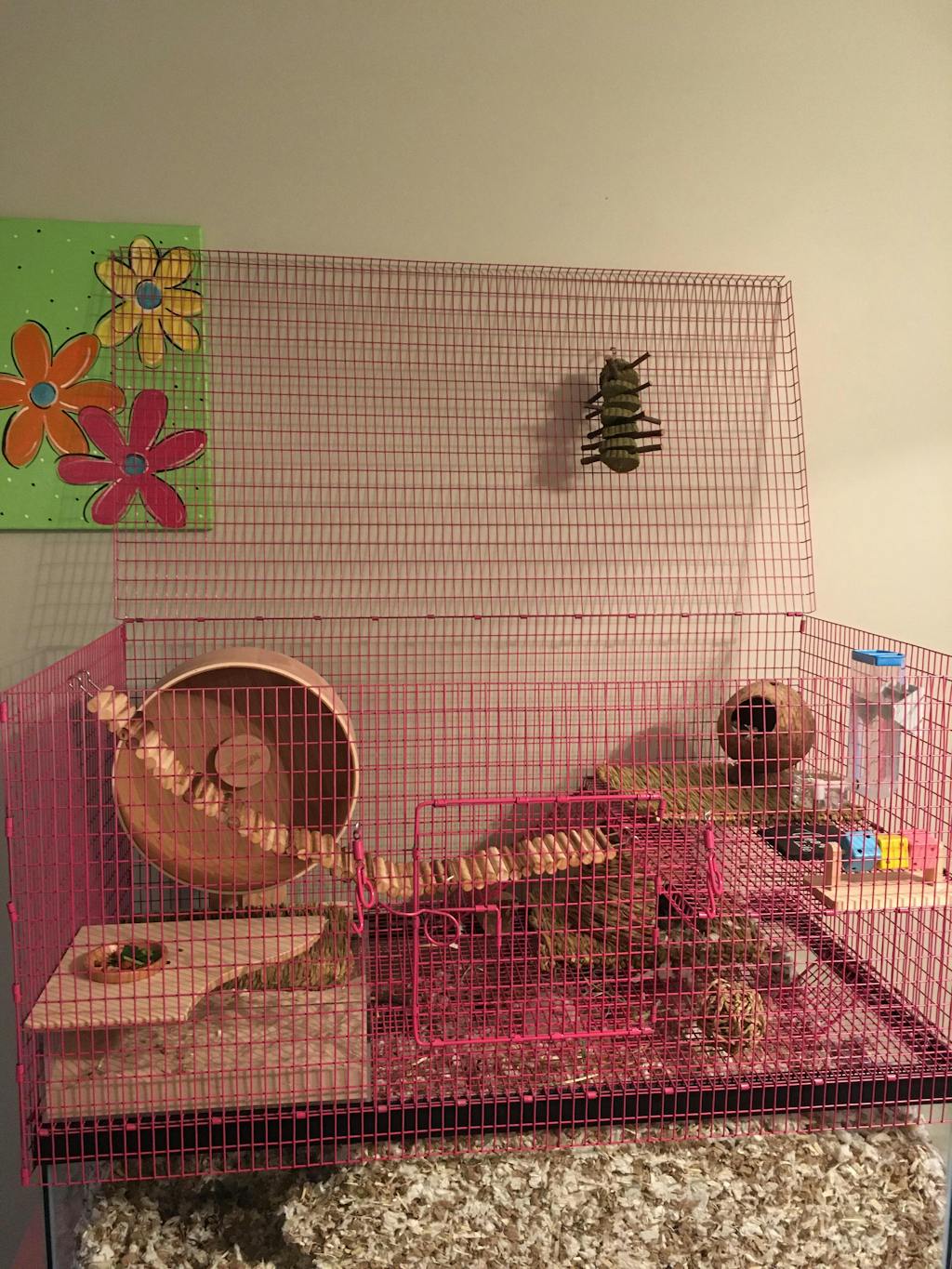 Tank Topper Aquarium Hamster cage for hamsters, Rat, Mice & Gerbils