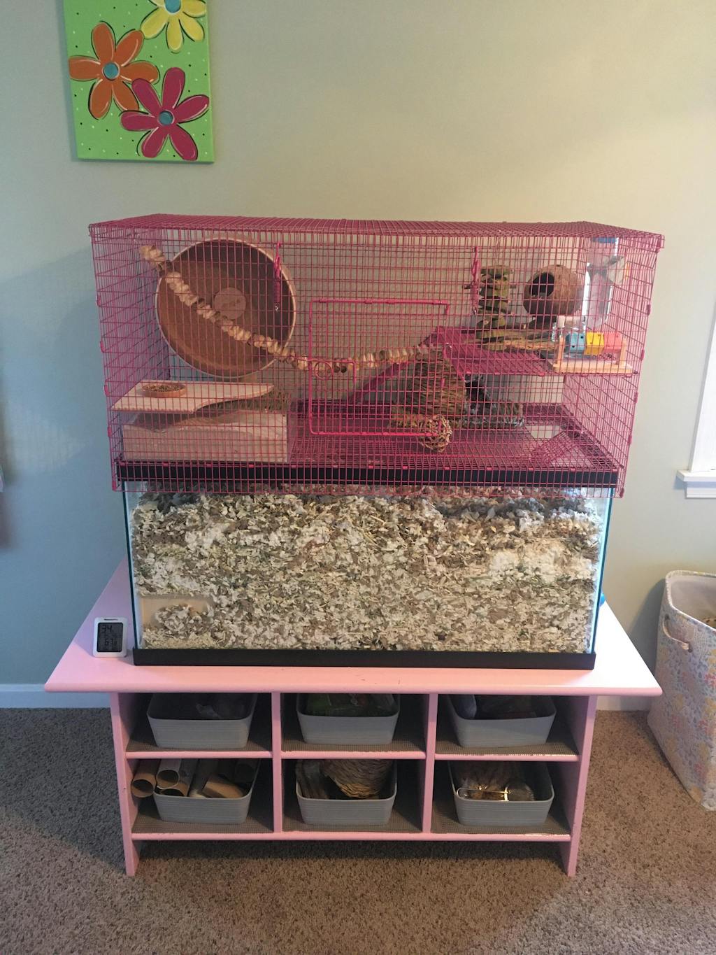 Tank Topper Aquarium Hamster cage for hamsters, Rat, Mice & Gerbils