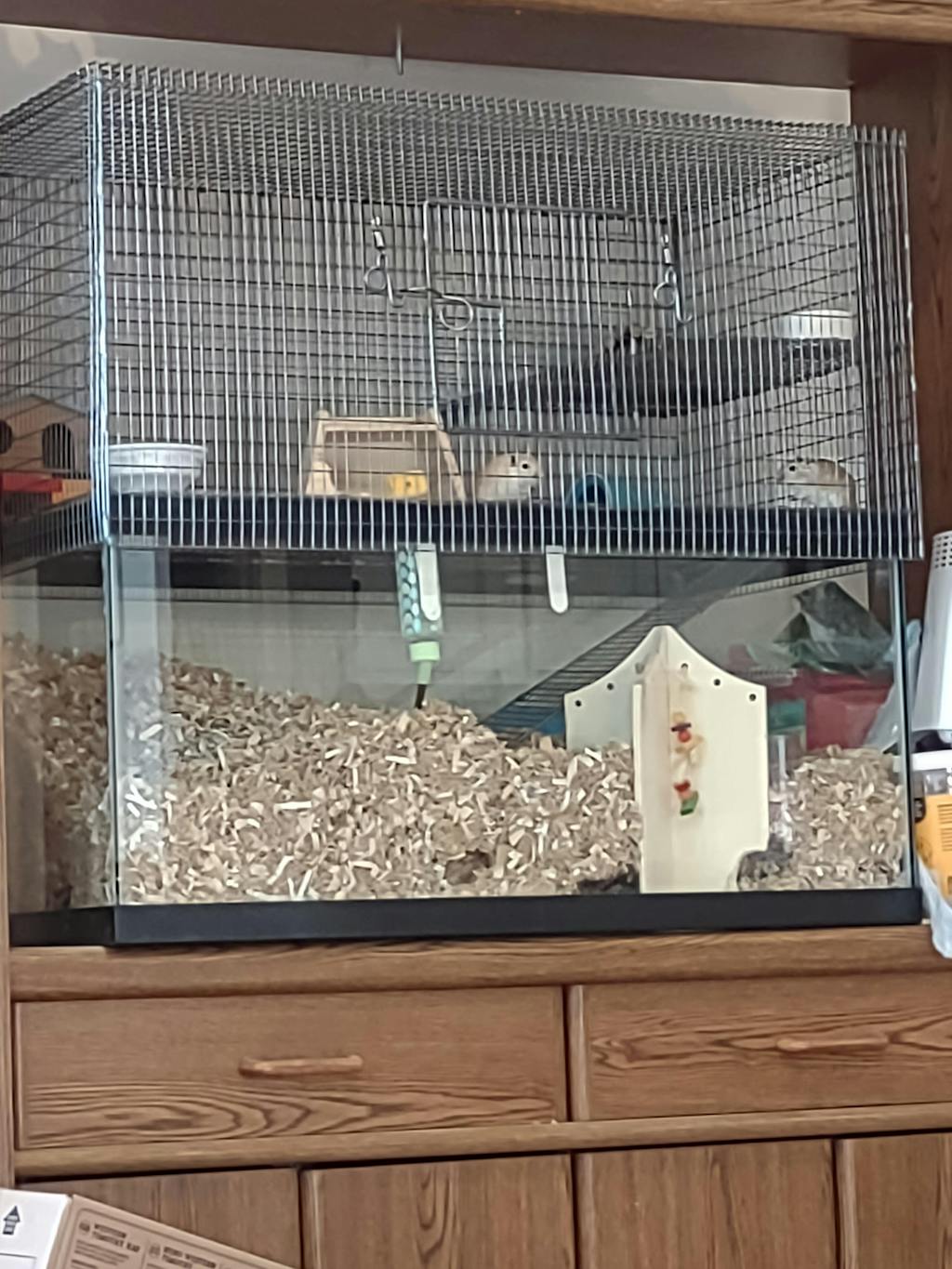 Tank Topper Aquarium Hamster cage for hamsters, Rat, Mice & Gerbils