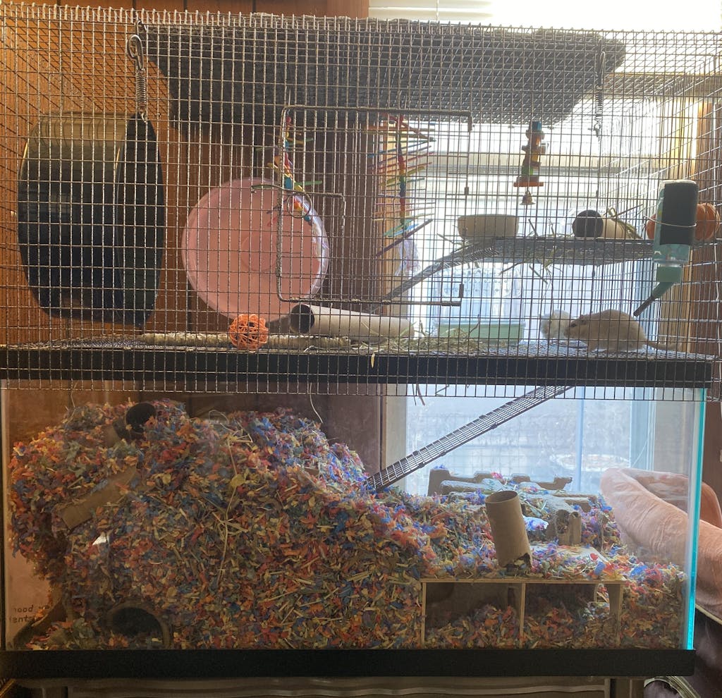 Tank Topper Aquarium Hamster cage for hamsters, Rat, Mice & Gerbils