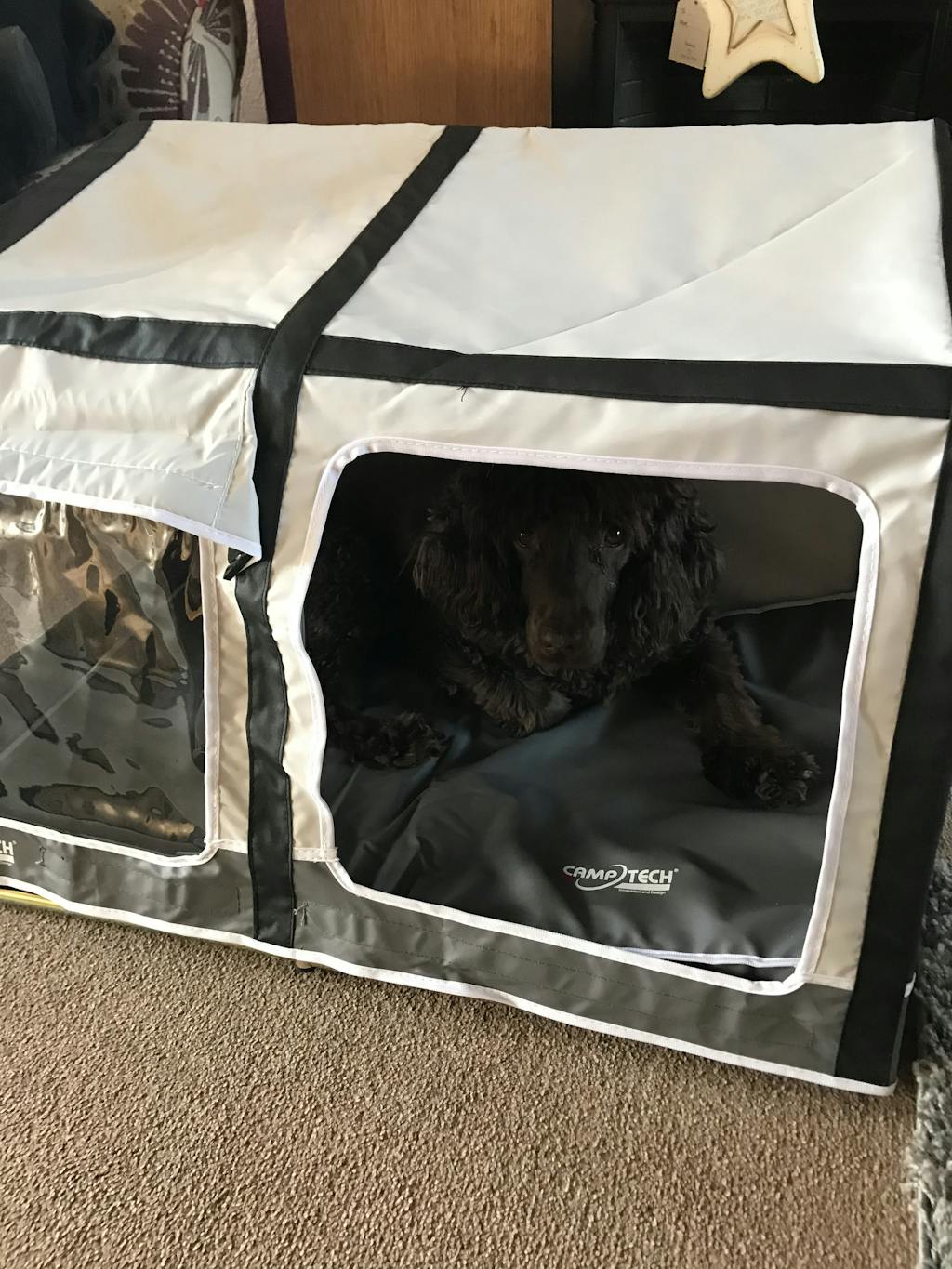 Camptech Pet House Inflatable style awning for Cats, Dogs & Pets