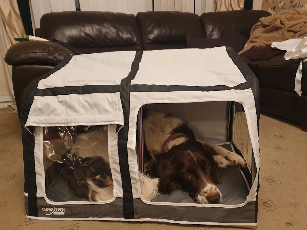 Camptech Pet House Inflatable style awning for Cats, Dogs & Pets