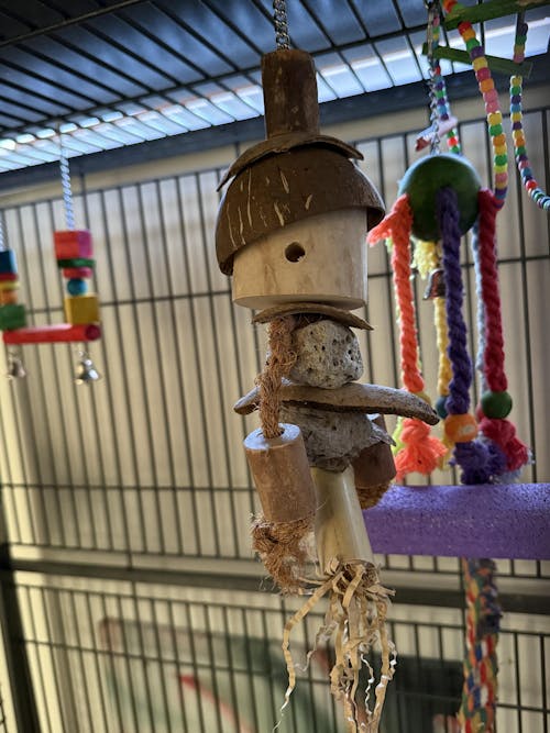 Pumice Puppet Chew and Play